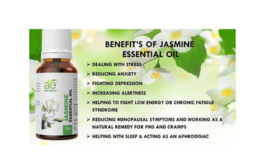 https://cdn.shopify.com/s/files/1/1857/6931/files/HuvTEs1yCX-189191.jpg?v=1736143804
